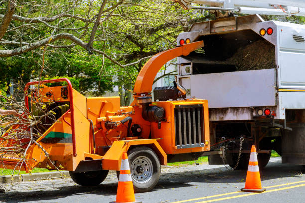 Best Hazardous Tree Removal  in Fairmont, NC